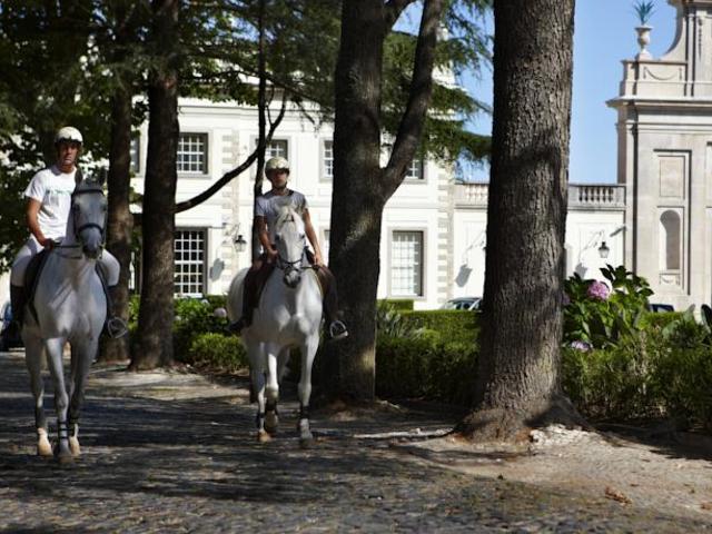 фотографии отеля Tivoli Palacio De Seteais изображение №3