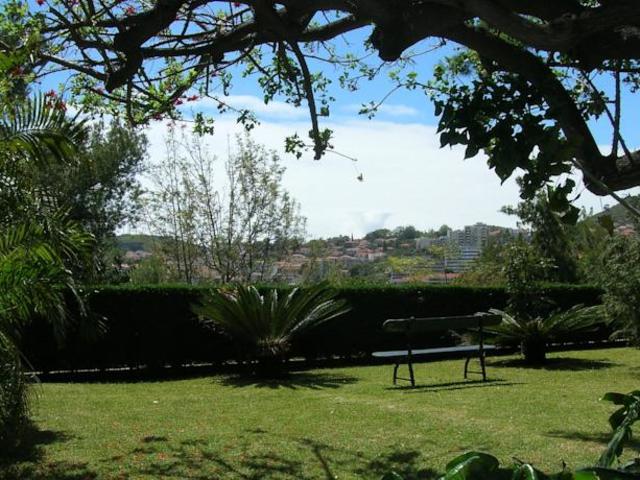 фото Quinta Das Vistas Palace Gardens изображение №2