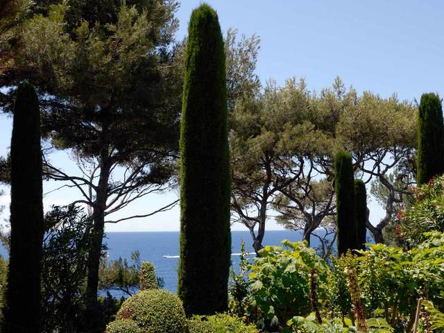 фотографии отеля The Grand Hotel du Cap Ferrat, A Four Seasons Hotel изображение №59