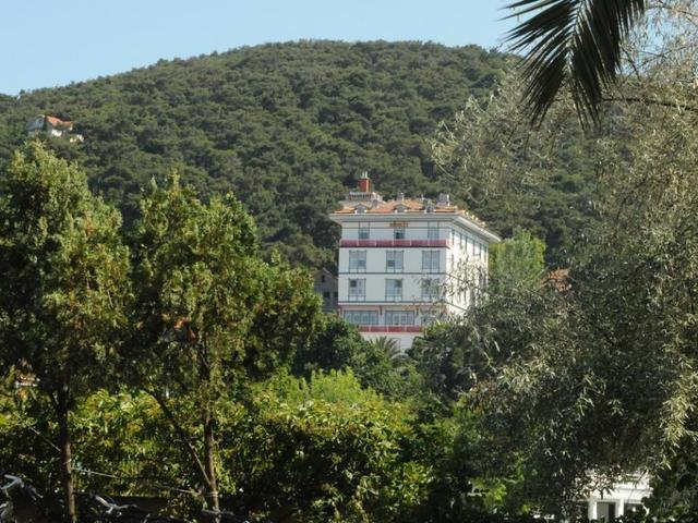 фотографии отеля Merit Halki Palace Hotel изображение №15