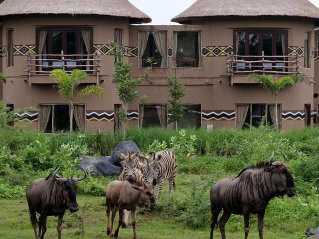 фото Mara River Safari Lodge изображение №2