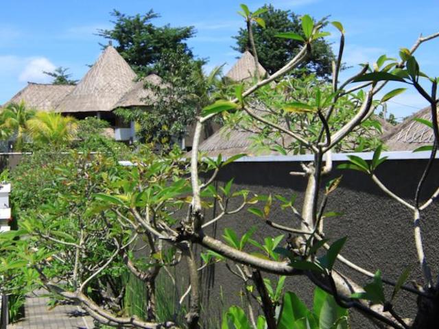 фото отеля Abi Bali Resort Villa & Spa изображение №61
