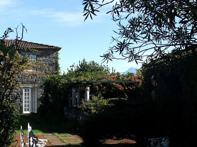 фотографии отеля Quinta das Buganvilias изображение №7
