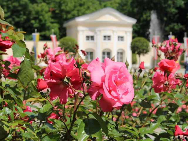 фото отеля Villa Gutenbrunn изображение №21