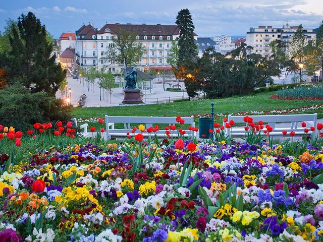 фотографии отеля Herzoghof изображение №19