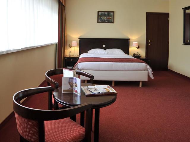 фото отеля Hotel De' Medici (ex. Golden Tulip) изображение №21
