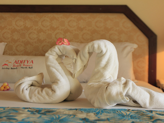 фото отеля Aditya Beach Resort изображение №25