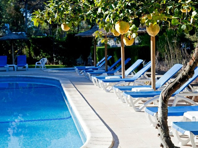 фото отеля Playa Mondrago изображение №21