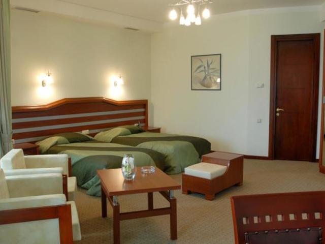 фото Hotel Vedzisi изображение №38