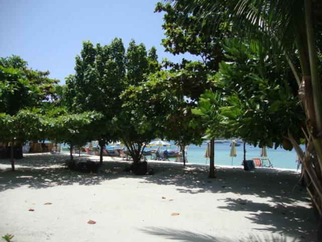 фотографии Phi Phi Sand Sea View Resort изображение №16