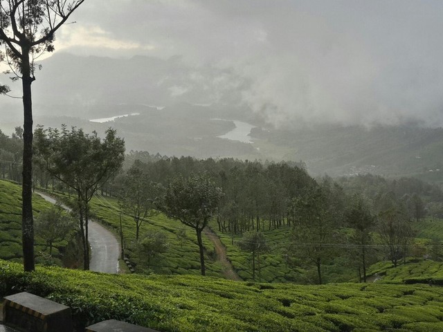 фото Club Mahindra Munnar (ex. Club Mahindra Lake View) изображение №26