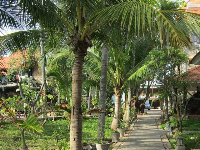 фото отеля Hoang Hai Ocean’s King Resort (ex. Hoang Hai Resort) изображение №9