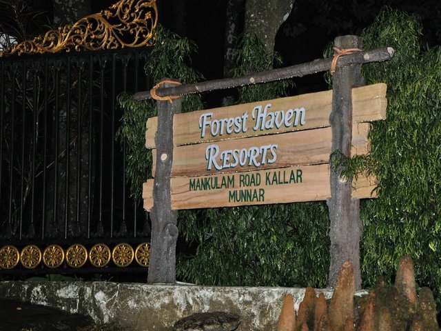 фотографии Forest Haven Resort изображение №20