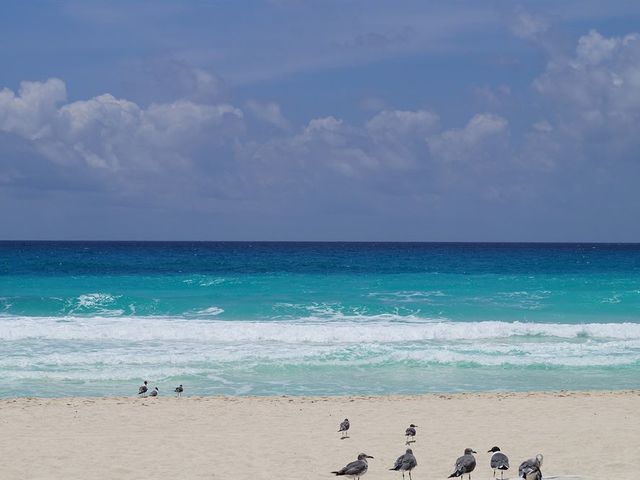 фотографии Solymar Cancun Beach Resort изображение №32