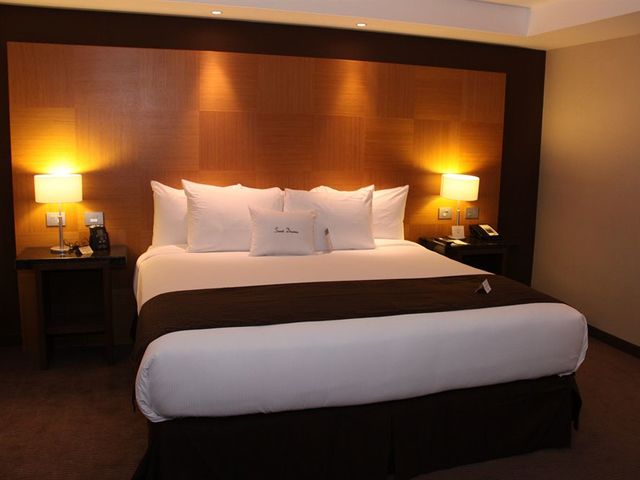 фото отеля DoubleTree by Hilton Mexico City Airport Area (ex. Holiday Inn East Mexico City) изображение №25