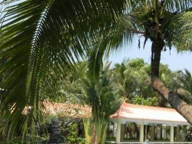 фото отеля Haixing Palm Resort изображение №21