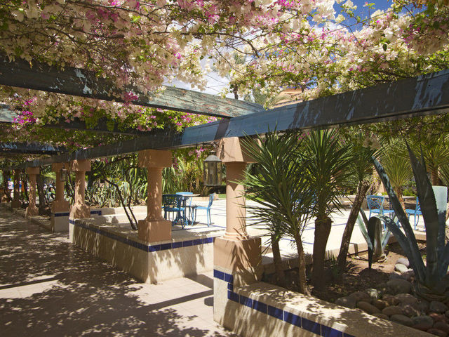 фотографии отеля Riu Tikida Garden изображение №7