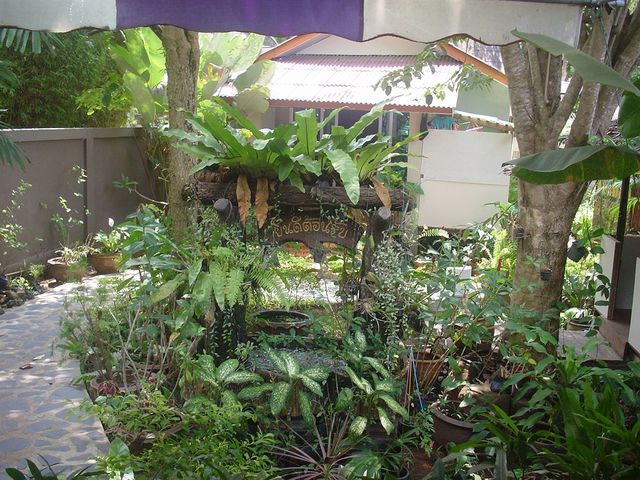 фото Kwaimaipar Orchid Resort Spa & Wellness изображение №22