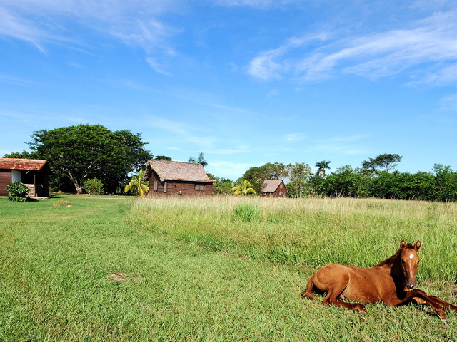 фотографии отеля Horizontes Batey Don Pedro изображение №19