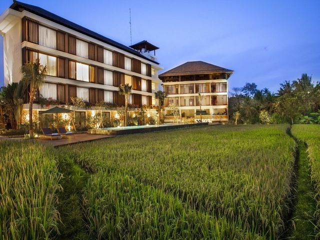 фотографии Plataran Ubud Hotel & Spa изображение №24