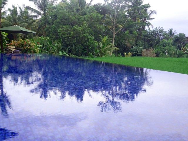 фотографии Plataran Ubud Hotel & Spa изображение №36