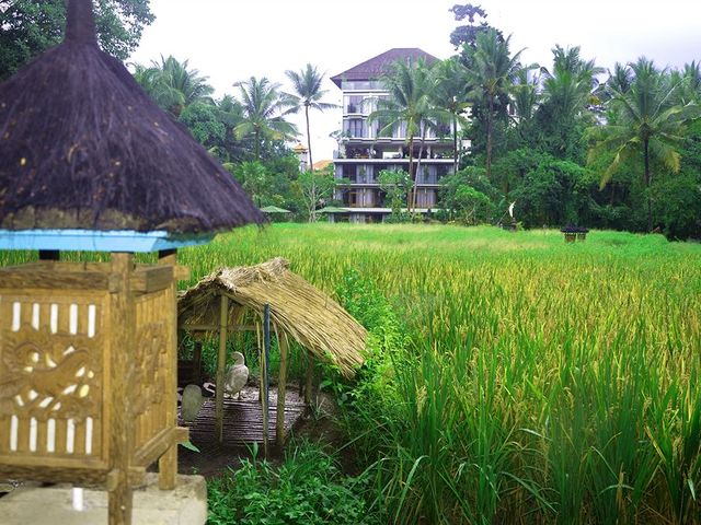 фотографии отеля Plataran Ubud Hotel & Spa изображение №39