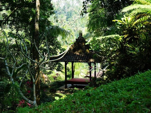 фотографии Ayung Resort Ubud изображение №16