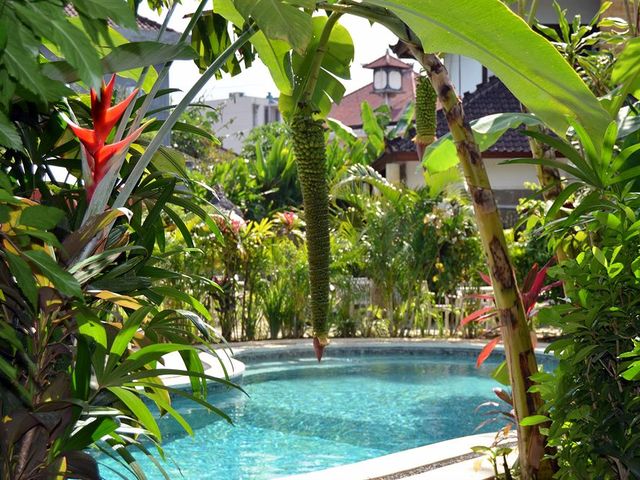 фотографии отеля Bali Hotel Pearl изображение №47