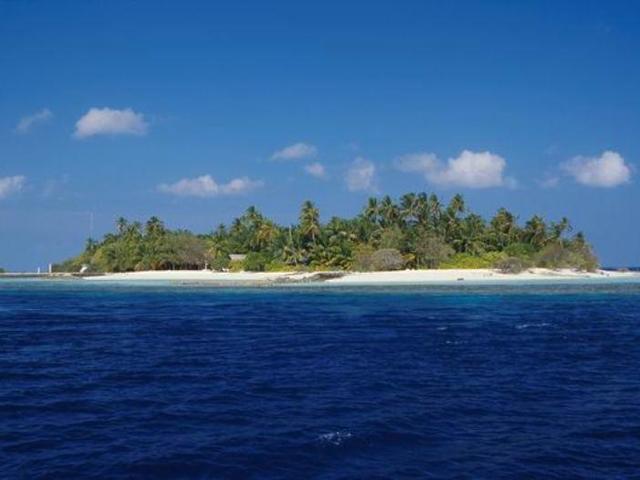 фото отеля Asdu Sun Island изображение №5