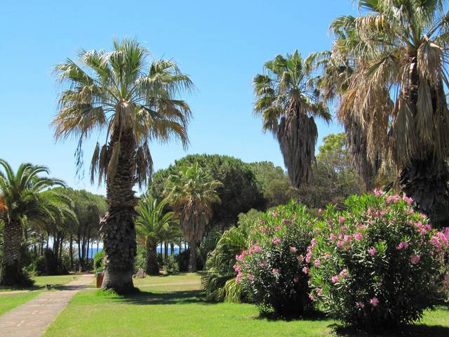 фото отеля Costa dei Fiori изображение №41