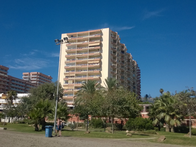 фото отеля Apartamentos Tamarindos изображение №1