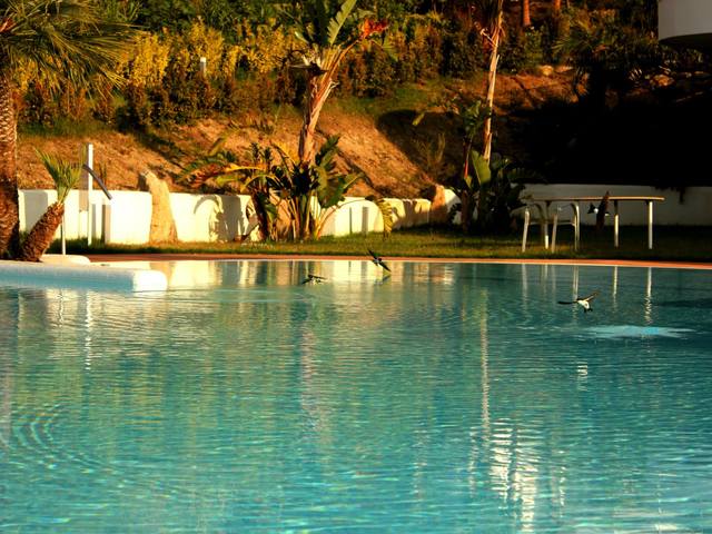 фотографии Infinity Resort Tropea изображение №64