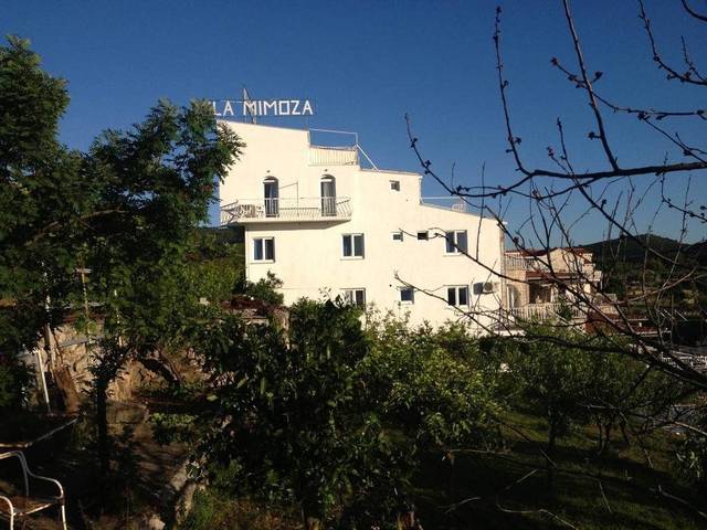 фото отеля Villa Mimoza изображение №21