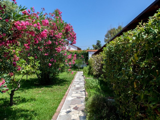 фото отеля Villaggio Camping Mimosa изображение №37