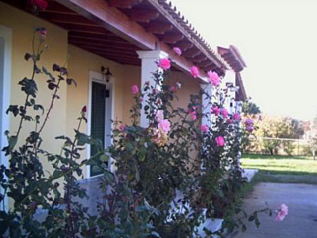 фото Villa Ifigenia изображение №6