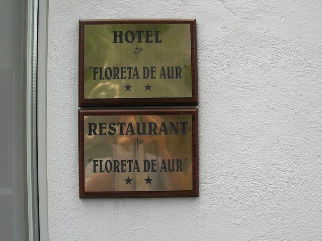фото Federatia Romana de Scrima - Hotel Floreta de Aur изображение №10