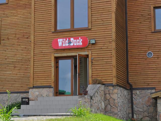 фотографии Wild Duck изображение №20