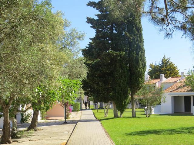 фотографии отеля Algarve gardens изображение №3