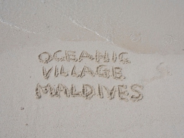фотографии отеля Maldives Oceanic Village изображение №27