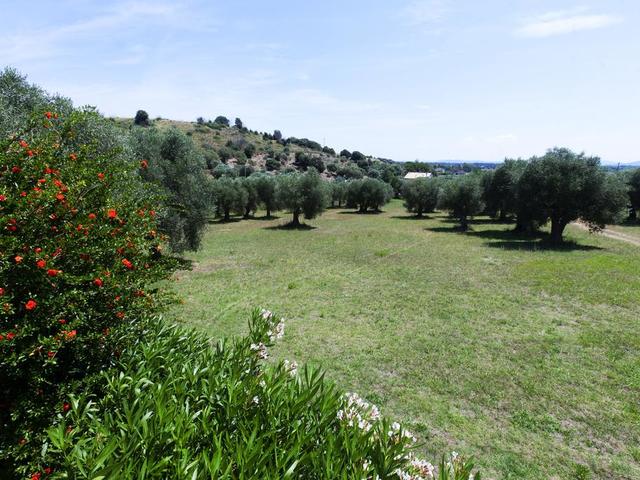 фото отеля Argentario Osa Village изображение №21