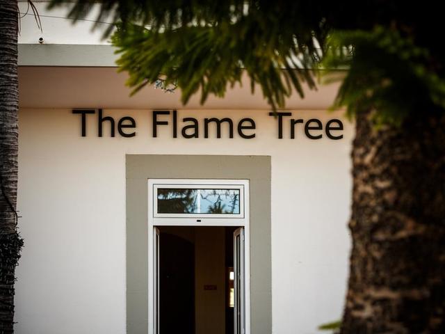 фото Flame Tree Madeira (ex. Residencial Vila Camacho) изображение №26