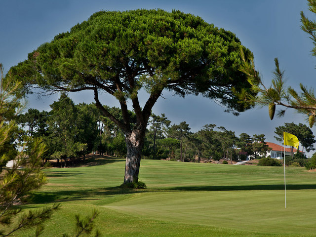 фото отеля Palacio Estoril изображение №5