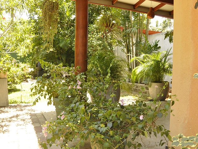 фотографии отеля Green Villa Unawatuna изображение №55