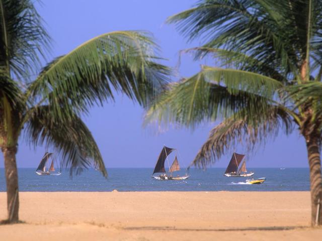 фото отеля Olanro Negombo изображение №29