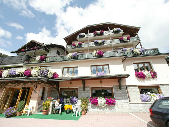 фотографии отеля Alpen Hotel Vidi изображение №3