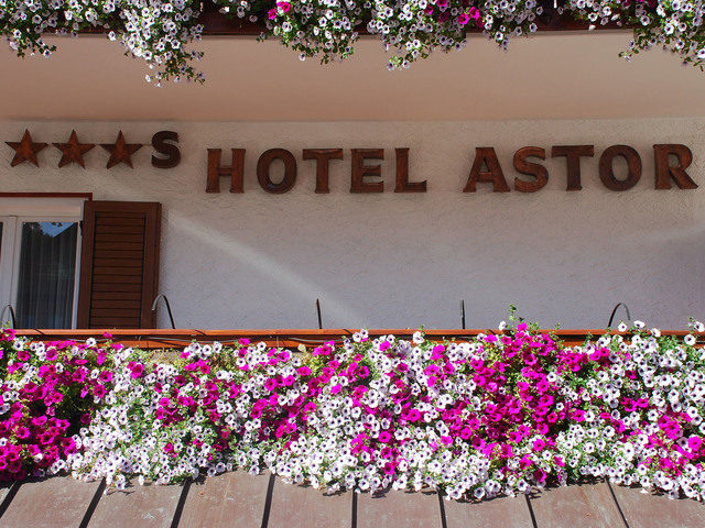 фото Astor hotel Selva Gardena изображение №38