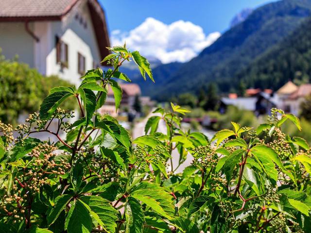 фотографии отеля Garni Snaltnerhof Ortisei изображение №23