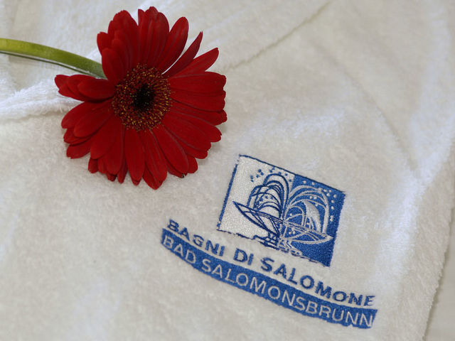 фотографии Hotel Bad Salomonsbrunn Bagni Di Salomone изображение №36