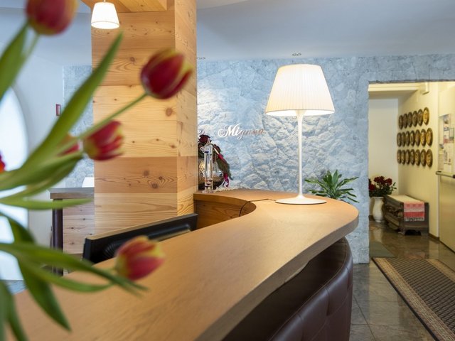 фото отеля Mignon hotel Selva Gardena изображение №57