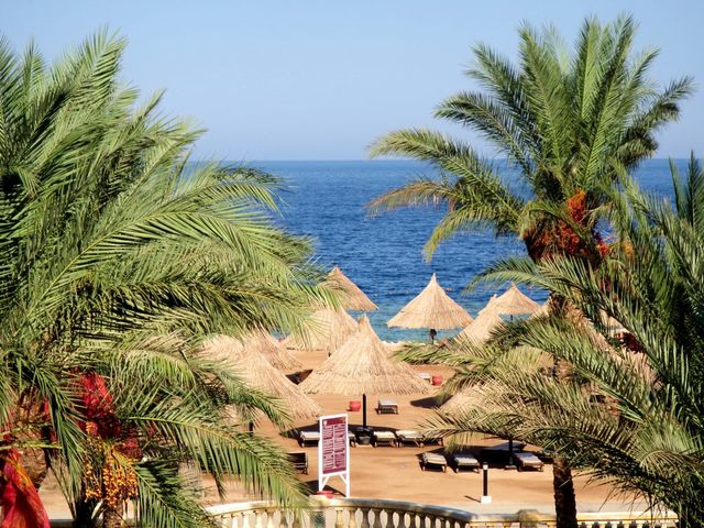 фото отеля Red Sea Sharm Resort (ex. Crowne Plaza Resort) изображение №25